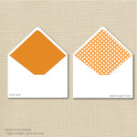 Envelope Liners