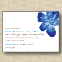 Blue Orchid