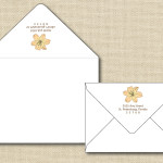 Outer Envelope