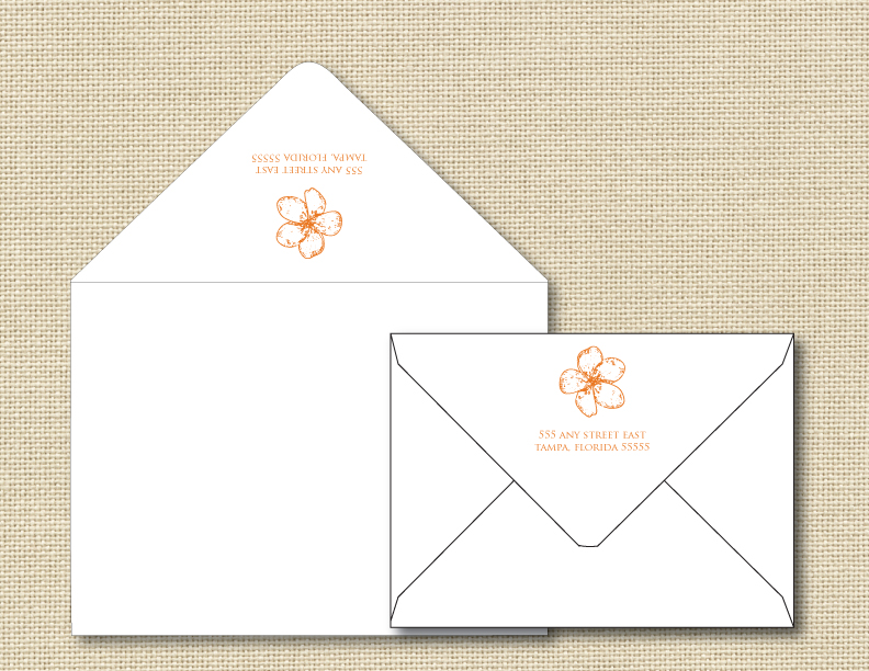 Outer Envelope