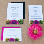 GerberDaisy_Suite